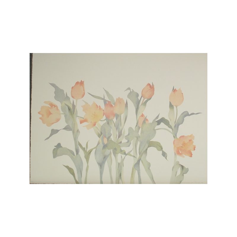 Peach Tulips