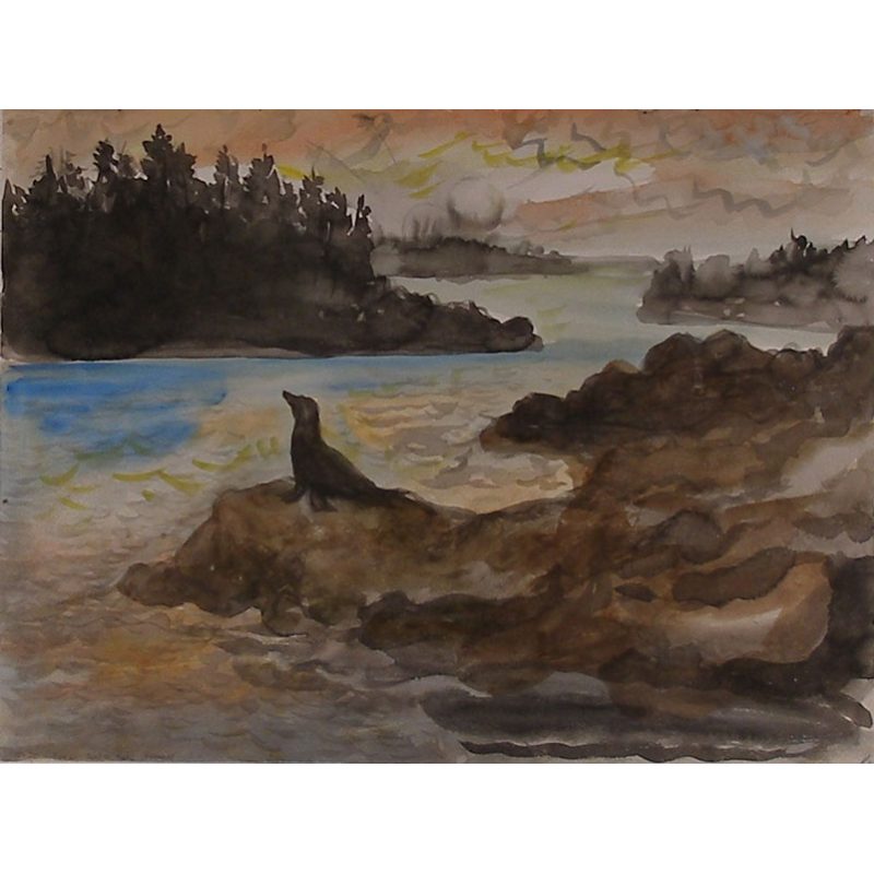 Seal on Rocks, Maine II