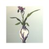 Iris - Image 2