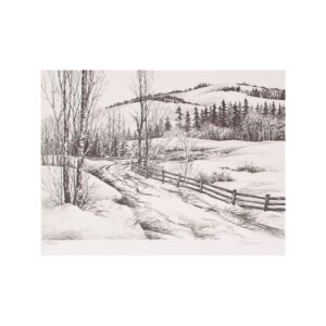 Untitled 73. A snowy road