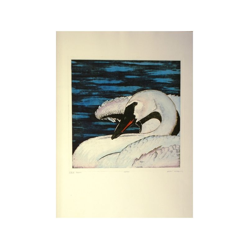 White swan 1