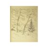 Untitled Original Sketch - Image 3